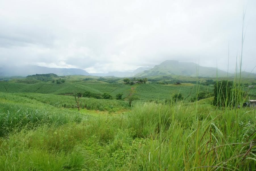 Mist and low cloud over the green highland countryside of Fiji.